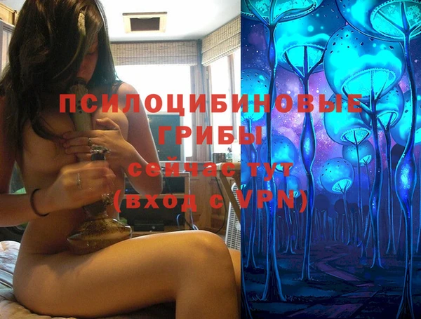спиды Володарск