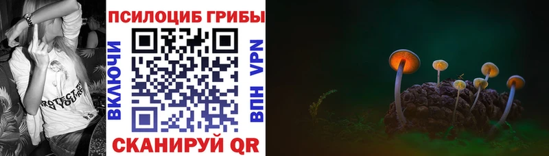 Купить закладки Тихорецк Псилоцибиновые грибы мицелий